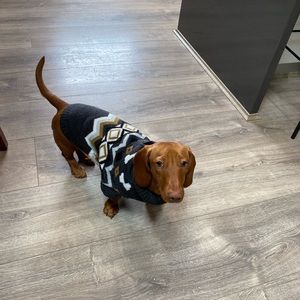 Meet your Posher, Ebony